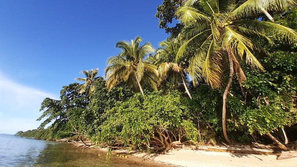 Pulau Kapotar dikenal juga sebagai Pulau Panjang dan berada di Kepulauan Moora, kawasan Teluk Cendrawasih bagian selatan atau lepas pantai Nabire, Papua. Hari Suroto/istimewa