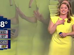 Deretan Software Komputer Mendadak Error yang Bikin Ngakak