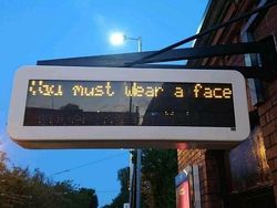 Deretan Software Komputer Mendadak Error yang Bikin Ngakak