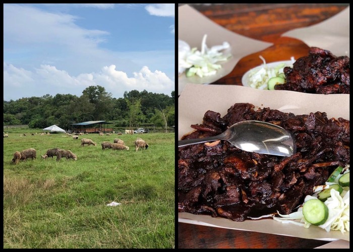Unik! Di Restoran Ini Bisa Cicip Kambing Bakar Sambil Main Bareng Kambing