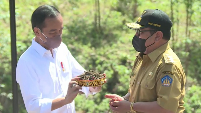 Wagub Bali membawa tanah dan air suci dari Pura Pusering Jagat