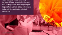 Namun dengan hanya sedikit data yang tersedia, belum dapat dinilai apakah varian hybrid ini lebih berbahaya atau tidak.