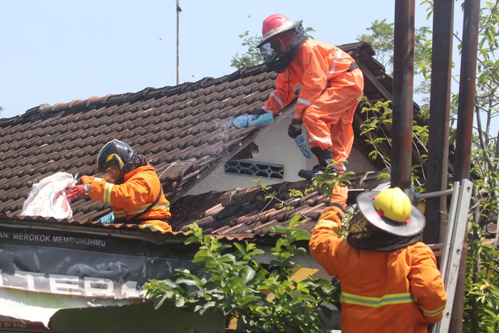 EVAKUASI SARANG TAWON VESPA Petugas pemadam kebakaran mengevakuasi sarang tawon vespa di rumah warga di Kelurahan Mrican, Kota Kediri, Jawa Timur, Senin (14/3/2022). Petugas pemadam kebakaran daerah setempat rata-rata mengevakuasi satu sarang tawon vespa atau tawon ndas per hari di kawasan permukiman karena meresahkan dan membahayan warga. ANTARA FOTO/Prasetia Fauzani/rwa.