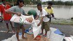 Petani Banyumas Gagal Panen Gegara Banjir