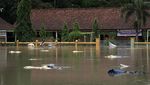 Petani Banyumas Gagal Panen Gegara Banjir