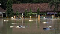 Banjir merendam gabah hasil panen milik petani di Desa Gebangsari, Tambak, Banyumas, Jateng, Selasa (15/3/2022).