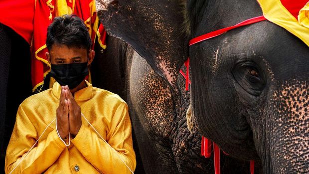 Hari Gajah Nasional Thailand