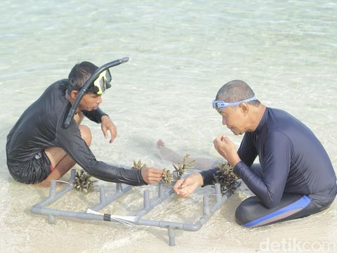Keindahan bawah laut Gili Labak bikin mereka yang snorkeling lupa waktu. Semoga nggak sampai lupa sama ayang ya detikers, hehehe.