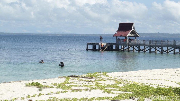 Keindahan bawah laut Gili Labak bikin mereka yang snorkeling lupa waktu. Semoga nggak sampai lupa sama ayang ya detikers, hehehe.