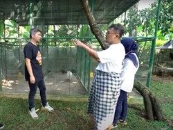 8 Foto Rumah Kaji Edan, Sultan Jagakarsa, Penuh Koleksi Mewah & Ada Mini Zoo