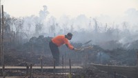 Seorang petugas kepolisian memukul api menggunakan papan kayu di lokasi kebakaran hutan dan lahan (karhutla) di belakang perumahan warga, Jalan Aloe Vera, Pontianak Selatan, Kalimantan Barat.