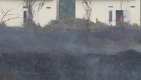 Seorang warga melihat kebakaran hutan dan lahan yang berada di belakang komplek perumahan di Jalan Aloe Vera, Pontianak Selatan, Kalimantan Barat, Senin (14/3/2022).