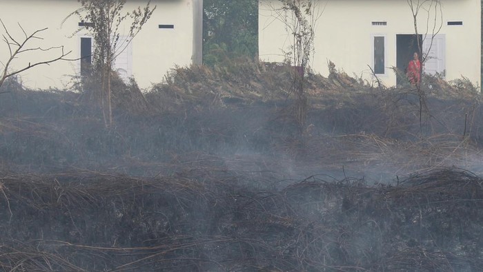Kebakaran Hutan dan Lahan, Kabut Asap Mulai Selimuti Pontianak Dua petugas pemadam kebakaran melakukan pembasahan pada lokasi kebakaran hutan dan lahan (karhutla) yang berada di belakang komplek perumahan warga, Jalan Aloe Vera, Pontianak Selatan, Kalimantan Barat, Senin (14/3/2022). Karhutla gambut yang terjadi persis di belakang komplek perumahan warga tersebut hingga kini belum padam sepenuhnya. ANTARA FOTO/Jessica Helena Wuysang/rwa.