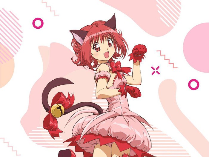 Komikus Manga Tokyo Mew Mew meninggal dunia.