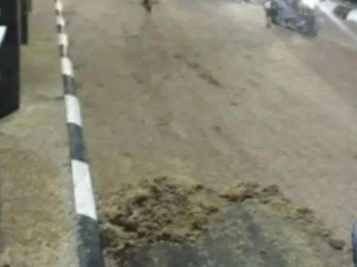 Lautan serangga membanjiri Jembatan Wanarata, Pemalang, Minggu (13/3/2022).