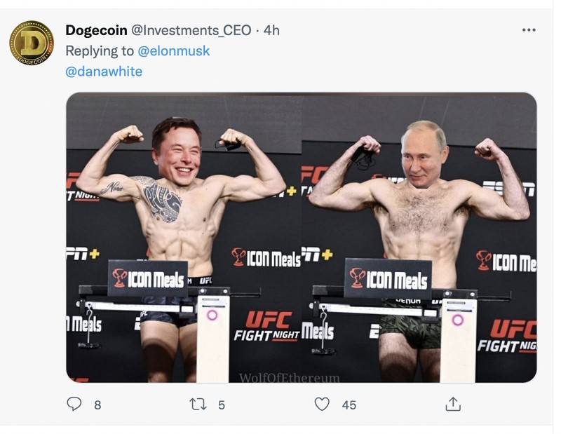 Meme Musk Putin