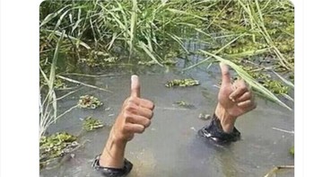 Netizen ini mendukung Musk menang lawan Putin. Elon, kamu adalah pahlawan galaksi, tulisnya. Foto: Twitter