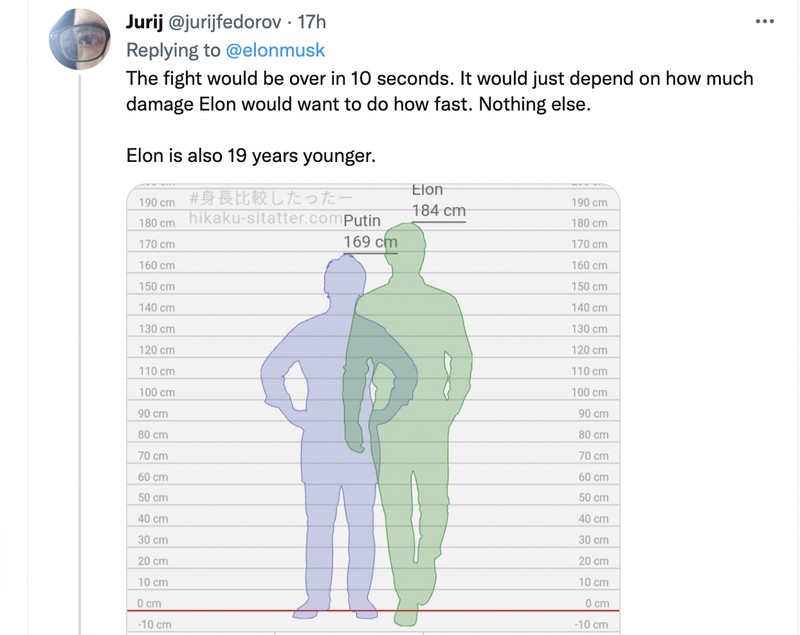 Meme Musk Putin