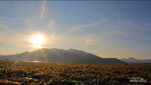 Pagi hari yang indah