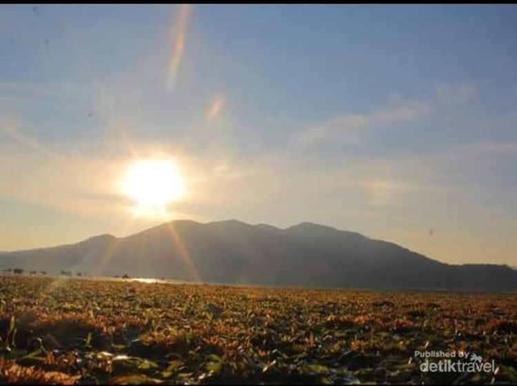 Menjemput Pagi di Pesisir Putih Pulau Pangabatang