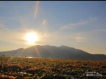 Pulau Pangabatang: Surga Tropis yang Tersembunyi di Laut Flores
