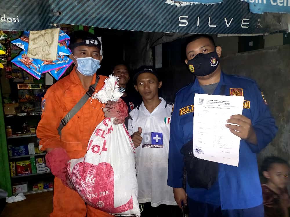 Pemadam Kebakaran (Damkar) Kota Bekasi mengevakuasi tiga ekor ular berjenis kobra dan sanca dalam satu hari dari tiga titik berbeda. (dok Damkar Bekasi Kota)