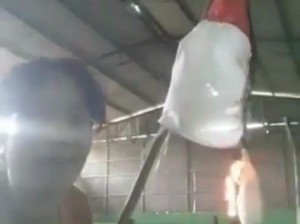 Wanita Karawang Upload Sendiri Video Aksi Bakar Bendera Indonesia