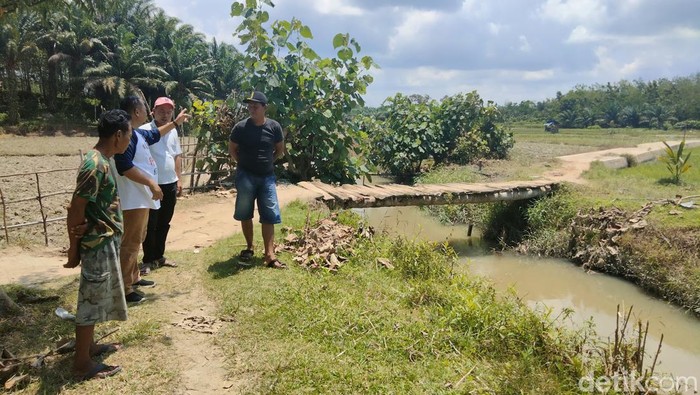 Petani saat menunjukkan tanahnya yang terkena proyek bendung dan saluran suplesi. (Perdana Ramadhan/detikcom)