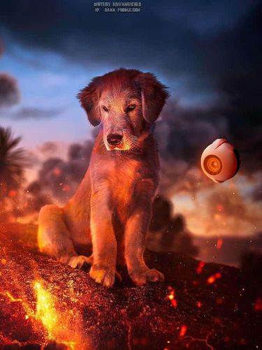 pemenang desain photoshop