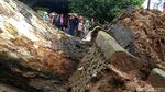 Pohon Separuh Abad di Alun-alun Pekalongan Tumbang