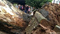 Tidak ada korban jiwa dalam insiden. Warga semat mengevakuasi diri sebelum pohon tumbang.