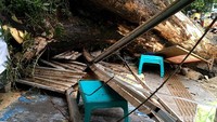 Pemilik warung yang tertimpa pohon tumbang, Khuzaenah (65) menambahkan dirinya hari ini memang sengaja tutup karena kondisi pohon yang sudah agak miring sejak kemarin.