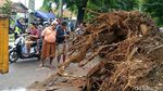 Pohon Separuh Abad di Alun-alun Pekalongan Tumbang