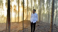 Tak lupa ia pun berkeliling disekitar titik No IKN Nusantara calon Ibu Kota Negara Republik Indonesia.