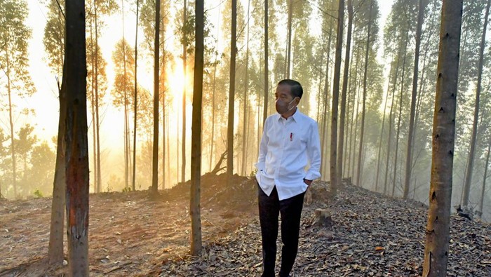Presiden Joko Widodo (kanan) mengenaan sarung berwarna hijau dan jaket merah bertuliskan G20 saat bermalam di titik nol Ibu Kota Negara (IKN) Nusantara, Kecamatan Sepaku, Penajam Paser Utara, Kalimantan Timur, Senin (14/3/2022). Presiden bersama sejumlah menteri dan lima gubernur di Pulau Kalimantan bermalam di lokasi titik nol IKN Nusantara.