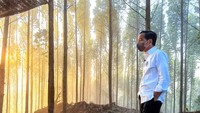 Cahaya pagi yang segar dan pemandangan yang indah sepertinya sangat dinikmati oleh Jokowi.