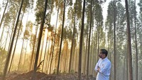 Pagi hari tadi, prediden Jokowi langsung keluar dan menikmati cahaya matahari yang baru saja terbit dari balik bebukitan dan pohon-pohon besar.