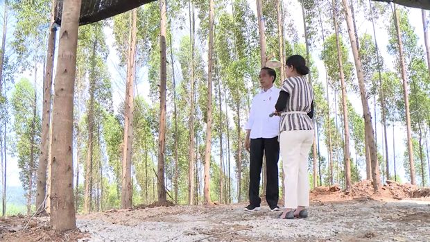 Presiden Jokowi di IKN