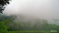 keindahan kabutnya