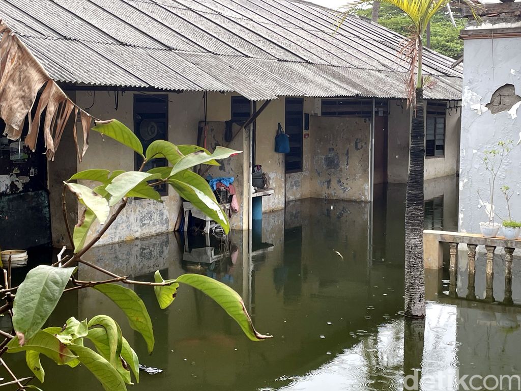 Area permukiman di kawasan Duren Sawit, Jakarta Timur, masih terendam banjir sepekan terakhir ini. Air bahkan masuk ke dalam rumah-rumah warga. Ini fotonya.