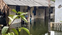 Sementara itu, pangkal banjir ini adalah saluran air atau got yang mampet kena urukan lahan di sisi barat. Jadi, ada tembok di sisi timur got dan ada lahan luas dengan urukan serta karung-karung tanah di sisi barat.