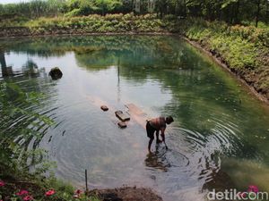 Melihat Petirtaan Sumberbeji di Jombang yang Airnya Dibawa ke IKN Nusantara