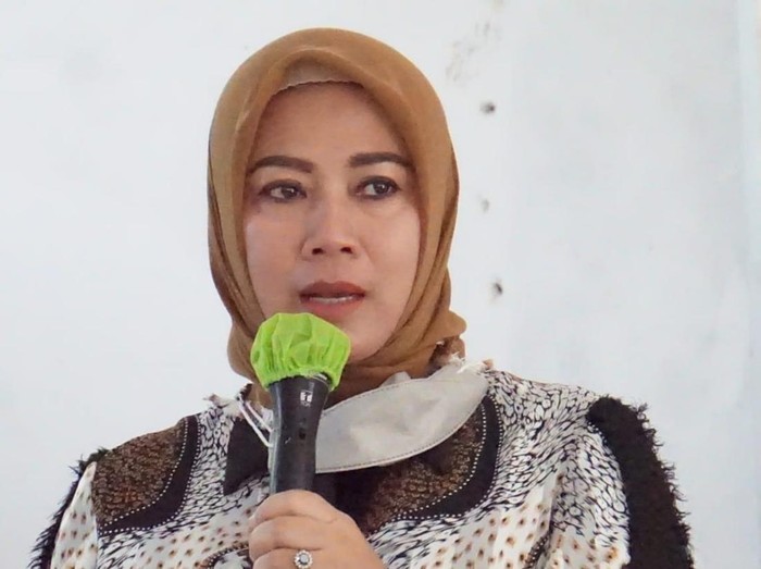 Anggota Komisi VI DPR RI Elly Rachmat Yasin