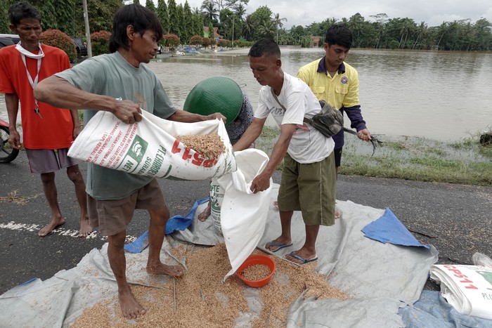 GAGAL PANEN PETANI BANYUMAS AKIBAT BANJIR Banjir merendam gabah hasil panen milik petani di Desa Gebangsari, Tambak, Banyumas, Jateng, Selasa (15/3/2022). Sekitar 200 hektare padi siap panen dan 15 ton gabah yang telah dipanen rusak dan hilang terbawa banjir yang menggenangi delapan desa di Kabupaten Banyumas, dan sejumlah wilayah lain di Kabupaten Kebumen. ANTARA FOTO/Idhad Zakaria/nym.