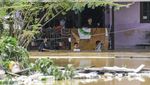 Usai Hujan Deras, Balikpapan Kaltim Terendam Banjir