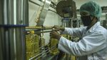 Begini Minyak Goreng Diproduksi