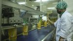 Begini Minyak Goreng Diproduksi