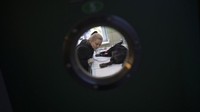 Invasi yang dilakukan Rusia ke Ukraina tidak hanya berdampak pada manusia namun juga hewan-hewan disana.  