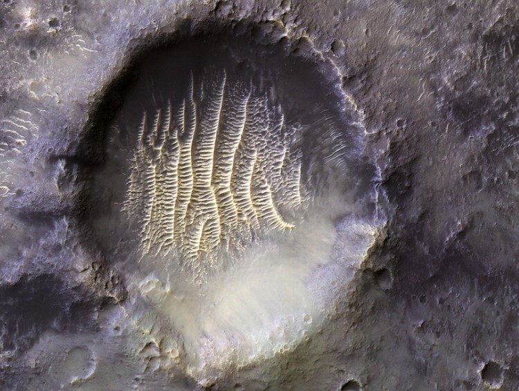 Mars Mars