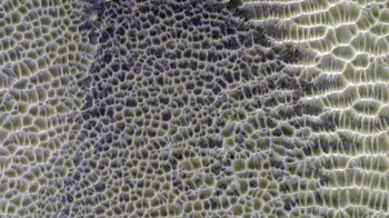 Dari ketinggian di atas permukaan Mars, High Resolution Imaging Experiment (HiRISE) yang mengorbit berada di Kawah Danielson, tepat di utara ekuator Mars. Wilayah ini sangat menarik bagi ahli geologi luar angkasa karena lapisan sedimen yang melapisi kawah. Foto: UAHiRISE/NASA